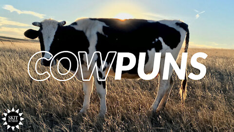 COW PUNS | Pun Minute Episode #1
