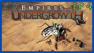 Empires of the Undergrowth - EP 4 | Hermit Crabs, Wolf Spiders and Beach Beetles!