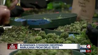 Businesses Consider Dropping Marijuana From Drug Tests