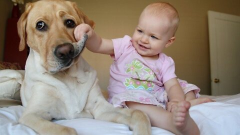 Cute Dogs And Adorable Babies: Compilatio