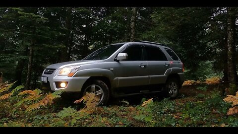 Camping alone in heavy rain and thunder -3