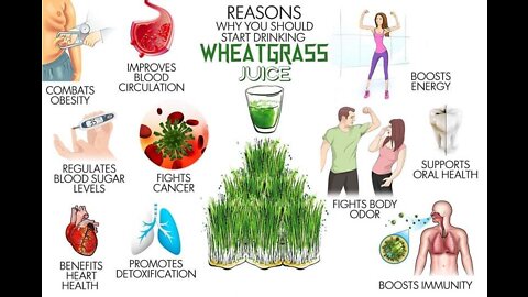 5,Benefits for Weaht Grass Powder And jus Amazing