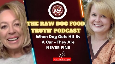 When Dog Gets Hit By A Car - They Are NEVER Fine