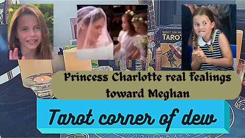 Princess Charlottes real feelings towards Meghan after the way she treated her around the wedding.