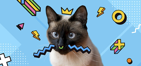 "Hilarious Cat Compilation: Laugh Until You Cry!"😂
