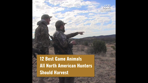 12 Game Animals All North American Hunters Should Harvest