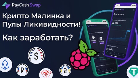 Как зарабатывать на пулах ликвидности и как получить Крипто Малинку в PayCashSwap