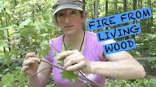 LIVING BRANCH FIRE