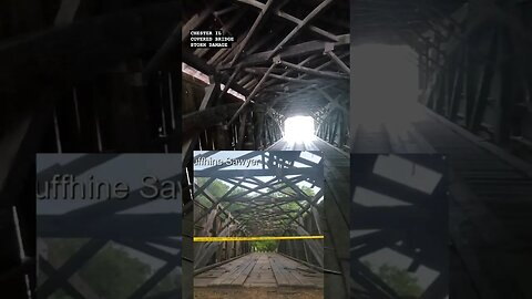 STORM DAMAGE Chester Illinois Marys covered bridge #shorts #creepy #bridge #cool #illinois