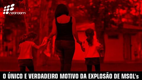 O ÚNICO E VERDADEIRO MOTIVO DA EXPLOSÃO DE MSOL's