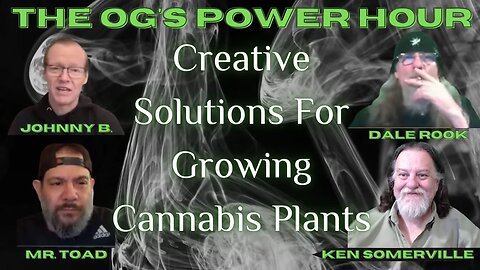 Creative Solutions For Growing Cannabis Plants