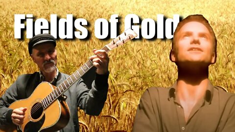 Fields of Gold - Sting - guitar lesson