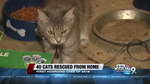 PACC responds to alleged cat hoarder home