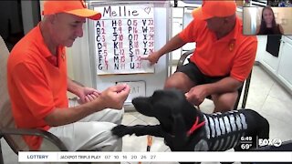 Gateway "Math Dog" to teach roman numerals to kids at Halloween event