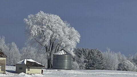 Winter wonderland in the country