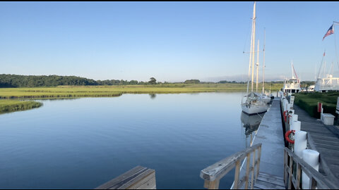 7/9/2022 A walk with Gunner alongside Wickham Creek