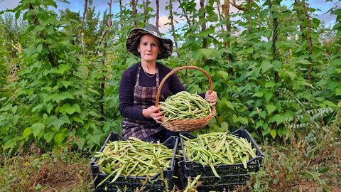 Traditional Way to Store Green Beans For 1 Year | Day in the Life of a Villager, Vlog #2