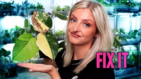 TOP 5 Plant Pet Peeves and how to fix them!