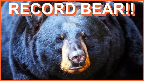 NEW Record Black Bear!!