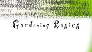 Gardening Basics