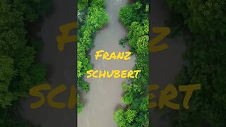 Schubert - Subscribe For More #shorts #classical music #n #nocopyrightmusic
