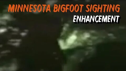 Minnesota Bigfoot Sighting | Enhancement