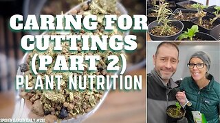 💪 Caring for Cuttings (Part 2) - Plant Nutrition - SGD 281 💪