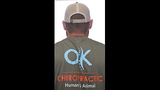 Human and Animal Chiropractic
