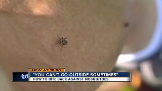 Expect more mosquitoes this summer