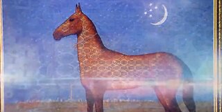 Art of Akhal-Teke horse breeding and traditions of horses' decoration