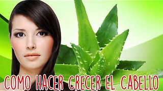 Como Hacer Crecer El Cabello