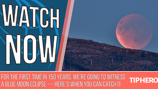 For the First Time in 150 Years, We're Going to Witness a Blue Moon Eclipse