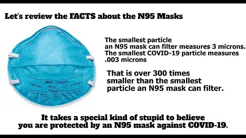 Let's Review the FACTS About the N95 Masks