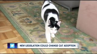 New legislation could change cat adoption