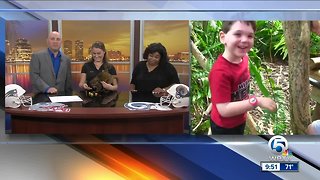 Palm Beach Zoo's kinkajou picks Super Bowl Winner