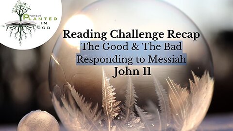 The Good, The Bad, & The Ugly | John 11 | Reading Challenge Recap