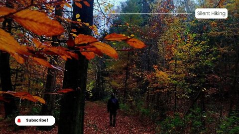 Wanderung im Naturpark Aukrug : Die Berg-Tal-Route im Herbst | Wandern in Schleswig-Holstein