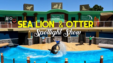 All New Sea Lion and Otter Spotlight Show at SeaWorld San Diego 2022 | Full Show