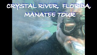 MANATEE TOUR IN BEAUTIFUL CRYSTAL RIVER FLORIDA!