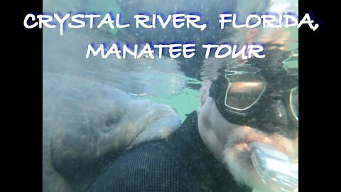 MANATEE TOUR IN BEAUTIFUL CRYSTAL RIVER FLORIDA!