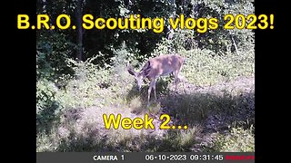 B.R.O. Scouting vlogs 2023! Week 2... It's getting HOT!