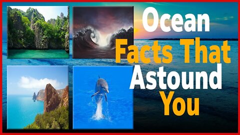 Ocean Facts That Will Astound You