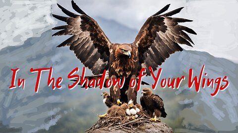 In The Shadow Of Your Wings