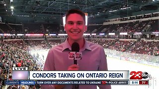 Live at the Condors versus Reign game