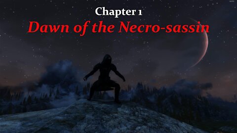 (Skyrim SE) Dawn of the Necro-sassin