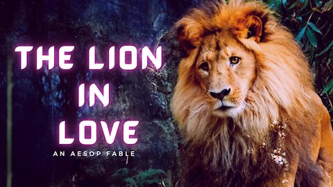 The Lion in Love