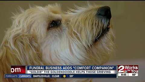 Funeral home offers therapy dog at services