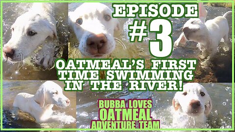 Oatmeal Learns to Swim : Episode 3