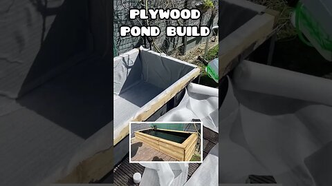 EPIC PLYWOOD POND BUILD 😍🎏 #pondbuild #goldfish #koifish #gardenpond #deckingpond #fancygoldfish