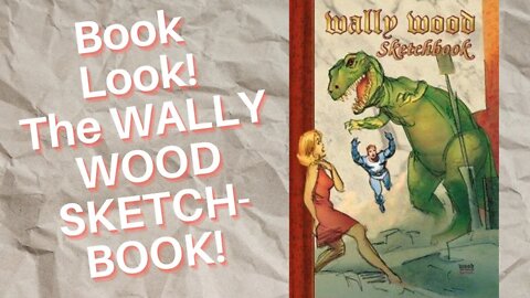 Book Look! The Wally Wood Sketchbook!